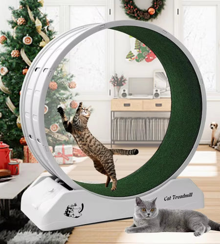 Cat Treadmill Wheel Exerciser for Kitty’S Longer Life Interesting Products Cat Running Wheel with Carpeted Runway Cats Toys Pet
