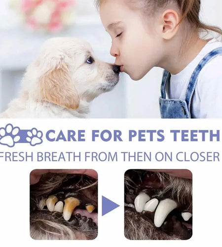 50Ml Pet Oral Cleanse Spray Dogs Mouth Fresh Teeth Clean Deodorant Prevent Calculus Remove Kitten Bad Breath Mouth Pet Supplies