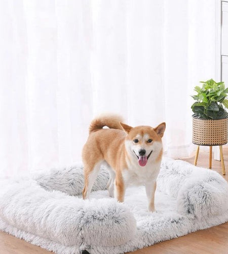 W Dog Bed Square Dog Beds Long Plush Dog Mat Beds for Small Medium Large Dogs Supplies Pet Dog Calming Bed Washable Kennel